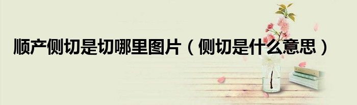 順產(chǎn)側(cè)切是切哪里圖片（側(cè)切是什么意思）