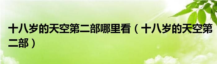 十八歲的天空第二部哪里看（十八歲的天空第二部）