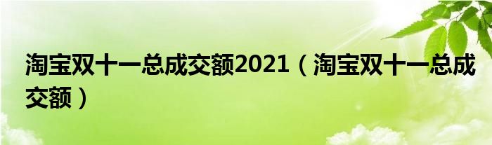 淘寶雙十一總成交額2021（淘寶雙十一總成交額）