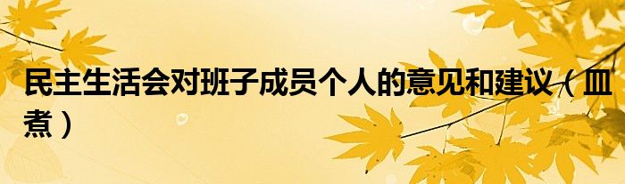 民主生活會(huì)對(duì)班子成員個(gè)人的意見(jiàn)和建議（皿煮）