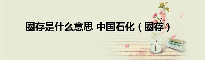 圈存是什么意思 中國石化（圈存）