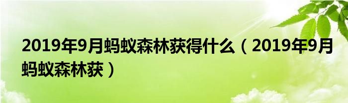 2019年9月螞蟻森林獲得什么（2019年9月螞蟻森林獲）