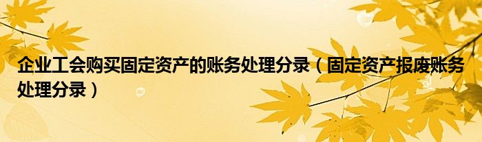 企業(yè)工會購買固定資產(chǎn)的賬務(wù)處理分錄（固定資產(chǎn)報廢賬務(wù)處理分錄）