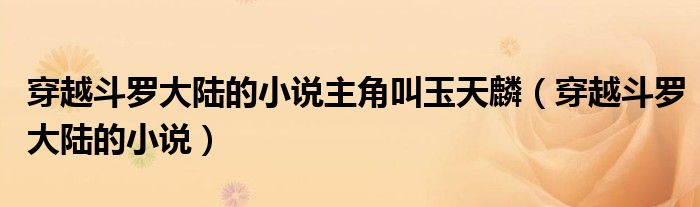 穿越斗羅大陸的小說主角叫玉天麟（穿越斗羅大陸的小說）