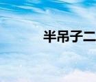 半吊子二百五的來歷（半吊子）
