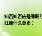 知否知否應(yīng)是綠肥紅瘦什么意思李清照（知否知否應(yīng)是綠肥紅瘦什么意思）