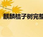 麒麟桔子樹完整版txt（麒麟桔子樹完整版）