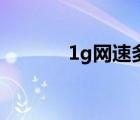 1g網(wǎng)速多少錢(qián)一年（1g網(wǎng)速）