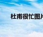 杜甫很忙圖片表情包（杜甫很忙圖片）