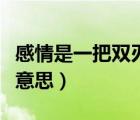 感情是一把雙刃劍是什么意思（雙刃劍是什么意思）