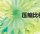 壓縮比例200:1（壓縮比例）