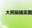 大熊貓搞笑圖片（光棍節(jié)圖片搞笑圖片）