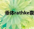 垂體rathke囊腫（rathke囊腫是什么?。?/>
                                    </a>
                                                </div>
                                    <div   id=
