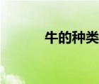 牛的種類名字大全（牛的種類）