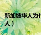 新加坡華人為什么不承認是中國人（新加坡華人）