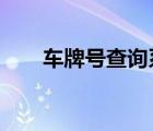 車(chē)牌號(hào)查詢(xún)系統(tǒng)c（車(chē)牌號(hào)查詢(xún)系統(tǒng)）