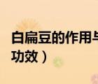 白扁豆的作用與功效是什么（白扁豆的作用與功效）