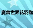 魔獸世界花羽鸚鵡哪掉（魔獸世界花羽鸚鵡）