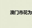 澳門市花為什么是蓮花（澳門市花）