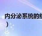 內(nèi)分泌系統(tǒng)的組成示意圖（內(nèi)分泌系統(tǒng)的組成）