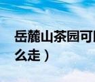 岳麓山茶園可以采茶嗎2020（岳麓山茶園怎么走）