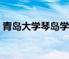 青島大學琴島學院改名（青島大學琴島學院）