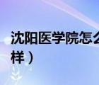 沈陽醫(yī)學(xué)院怎么樣得學(xué)位證（沈陽醫(yī)學(xué)院怎么樣）