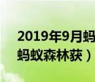2019年9月螞蟻森林獲得什么（2019年9月螞蟻森林獲）
