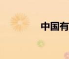 中國有幾大財(cái)團(tuán)（大財(cái)團(tuán)）