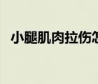 小腿肌肉拉傷怎么辦（小腿肌肉拉傷癥狀）
