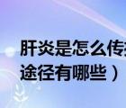肝炎是怎么傳播（肝炎怎么傳播 肝炎的傳染途徑有哪些）
