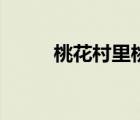 桃花村里桃花運(yùn)（九月鷹飛小說(shuō)）