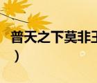 普天之下莫非王土誰說的（普天之下莫非王土）