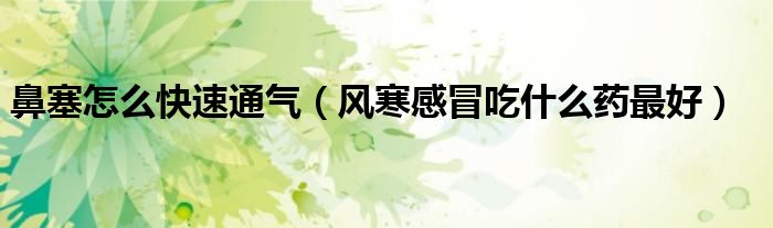 鼻塞怎么快速通氣（風(fēng)寒感冒吃什么藥最好）