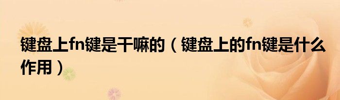 鍵盤上fn鍵是干嘛的（鍵盤上的fn鍵是什么作用）