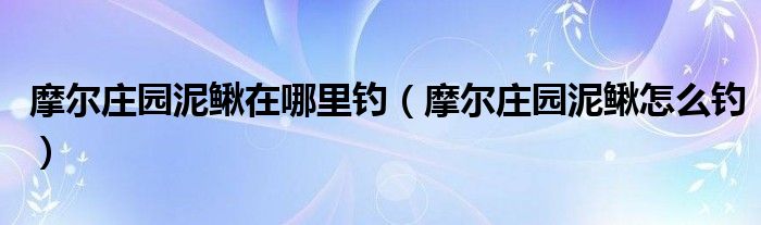 摩爾莊園泥鰍在哪里釣（摩爾莊園泥鰍怎么釣）