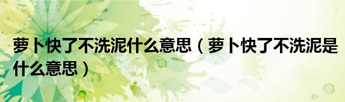 蘿卜快了不洗泥什么意思（蘿卜快了不洗泥是什么意思）