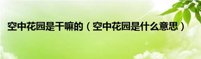 空中花園是干嘛的（空中花園是什么意思）
