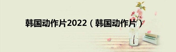 韓國(guó)動(dòng)作片2022（韓國(guó)動(dòng)作片）