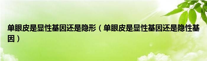 單眼皮是顯性基因還是隱形（單眼皮是顯性基因還是隱性基因）