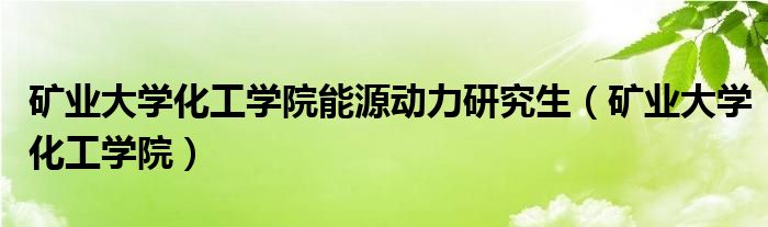 礦業(yè)大學(xué)化工學(xué)院能源動(dòng)力研究生（礦業(yè)大學(xué)化工學(xué)院）
