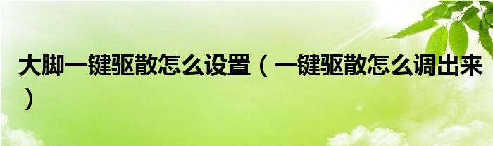 大腳一鍵驅(qū)散怎么設(shè)置（一鍵驅(qū)散怎么調(diào)出來）