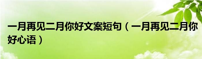 一月再見(jiàn)二月你好文案短句（一月再見(jiàn)二月你好心語(yǔ)）