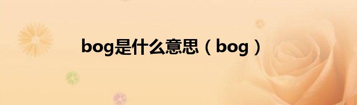 bog是什么意思（bog）