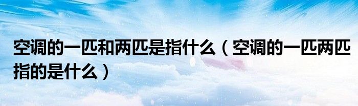 空調(diào)的一匹和兩匹是指什么（空調(diào)的一匹兩匹指的是什么）