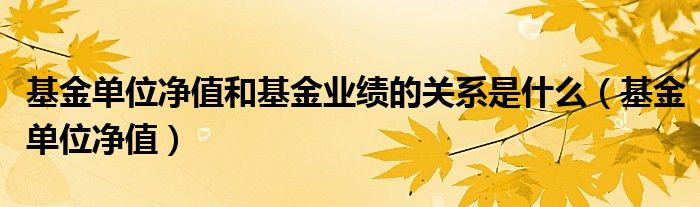 基金單位凈值和基金業(yè)績的關(guān)系是什么（基金單位凈值）