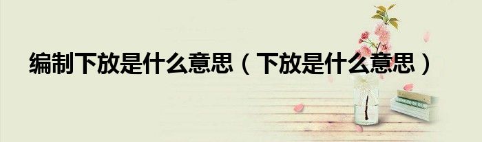 編制下放是什么意思（下放是什么意思）