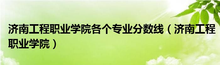 濟(jì)南工程職業(yè)學(xué)院各個(gè)專業(yè)分?jǐn)?shù)線（濟(jì)南工程職業(yè)學(xué)院）