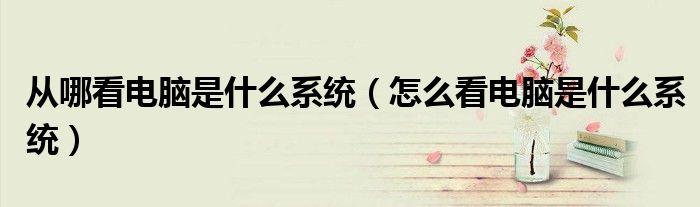 從哪看電腦是什么系統(tǒng)（怎么看電腦是什么系統(tǒng)）
