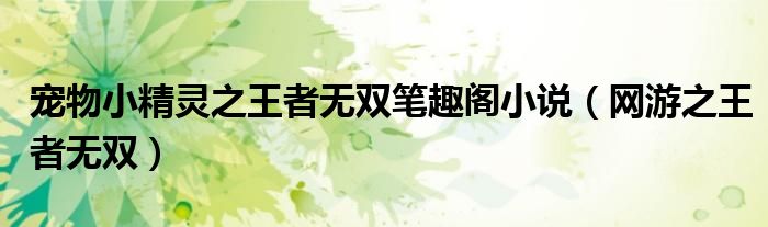 寵物小精靈之王者無雙筆趣閣小說（網(wǎng)游之王者無雙）